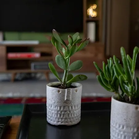 Apartament Art House Dráma Zewnętrze zdjęcie